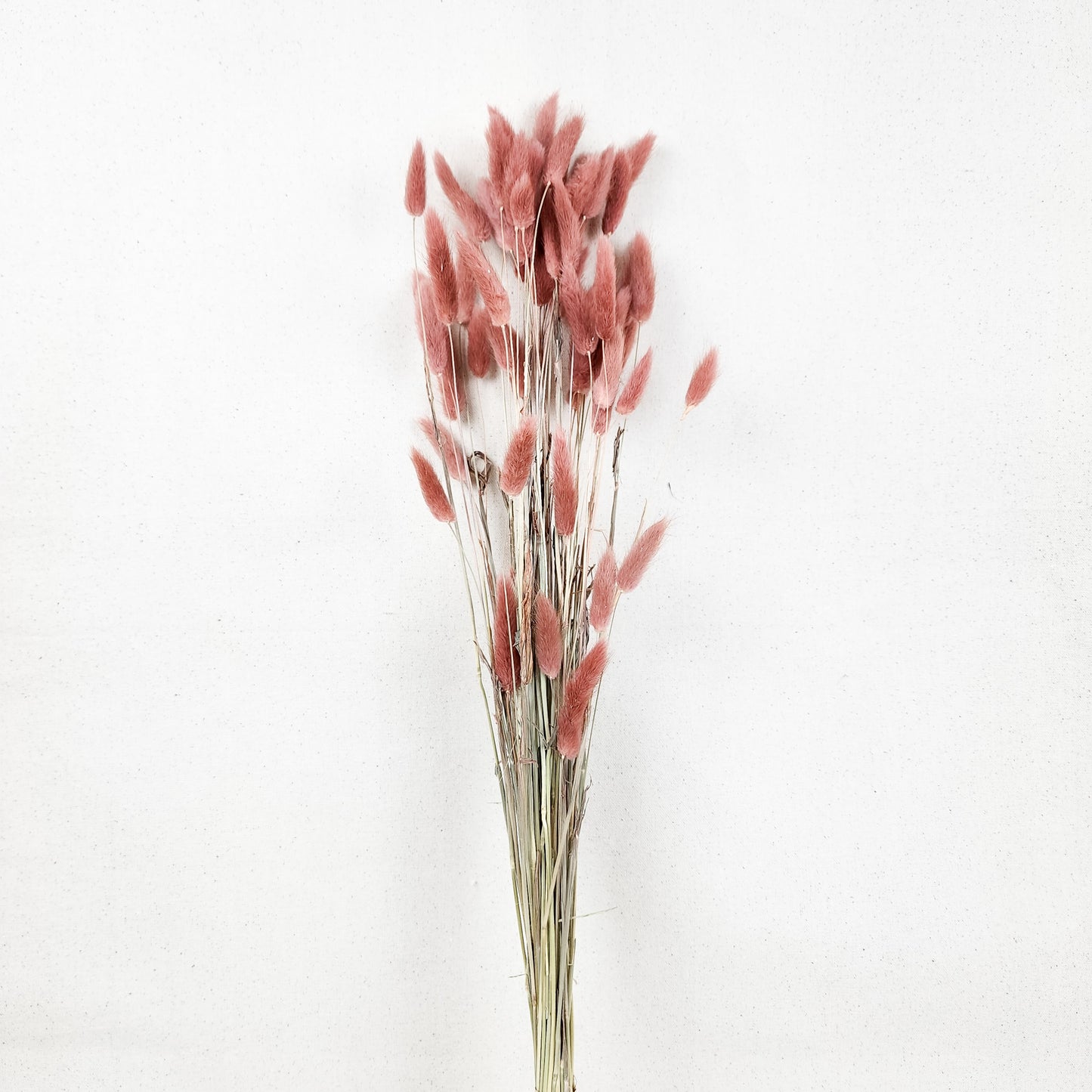 Bunny Tails