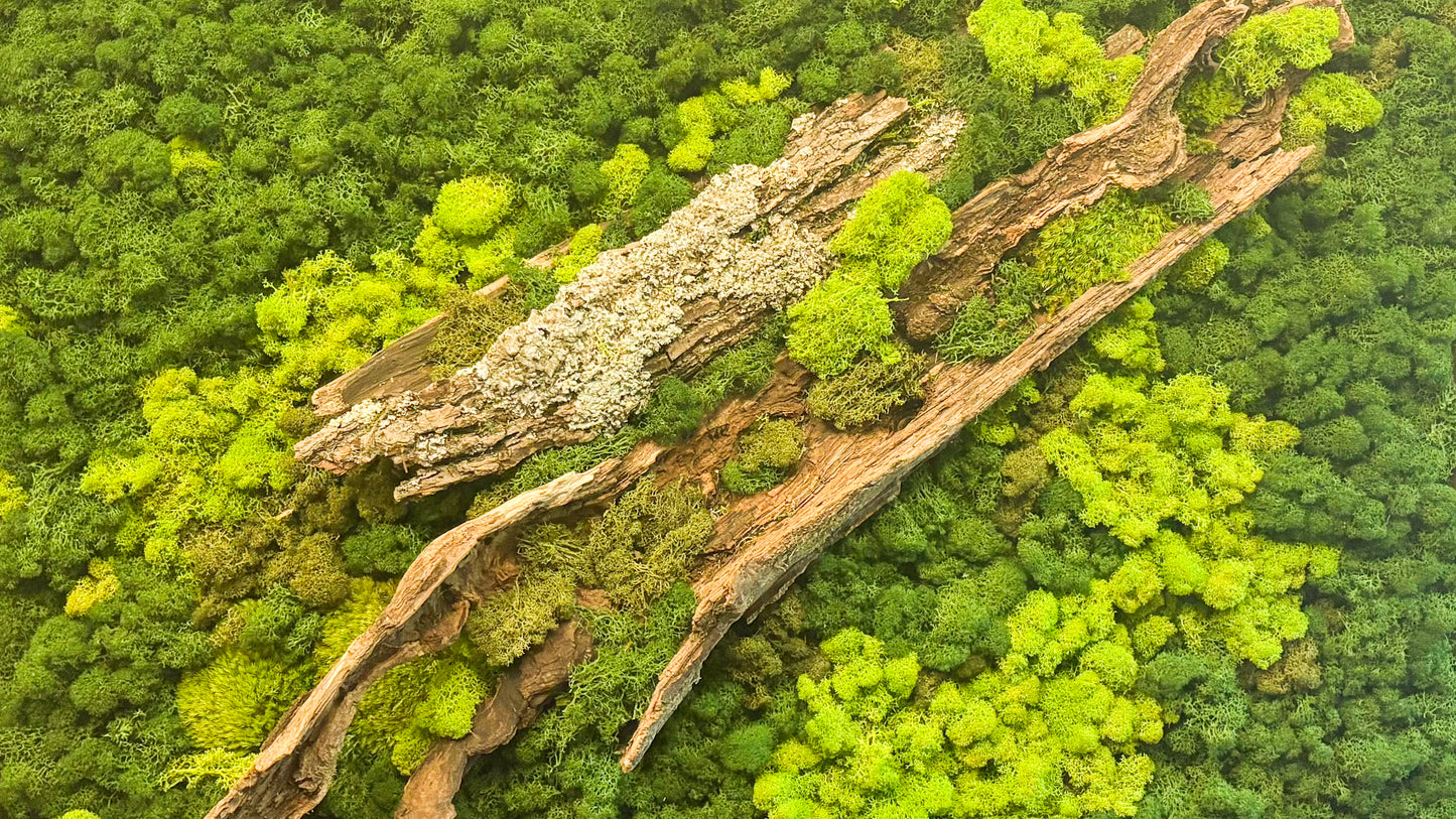 Moss Wall Piece